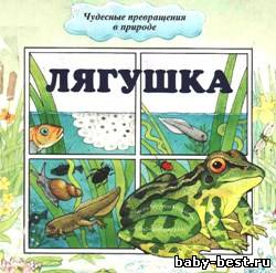 Чудесные превращения в природе: Лягушка. Цветок. Птица. Бабочка
