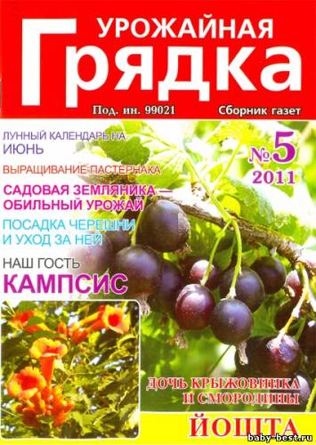 Урожайная грядка №5 2011