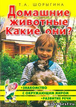 Домашние животные. Какие они?