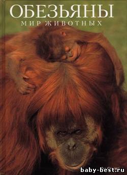 Обезьяны