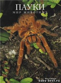 Пауки