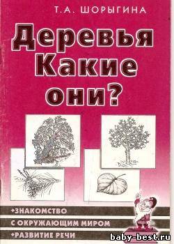 Деревья. Какие они?