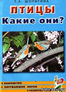 Птицы. Какие они?
