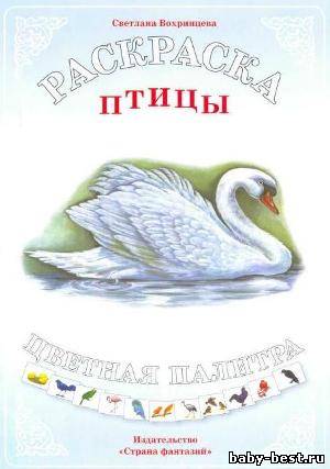 Птицы. Раскраска
