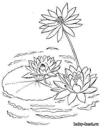 Раскраска. Цветы