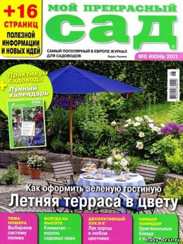 Мой прекрасный сад №6 (июнь 2011)
