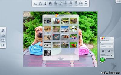 Пазлы 2.0. Животные ( 2011/RUS )