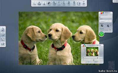 Пазлы 2.0. Животные ( 2011/RUS )