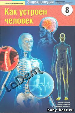 Как устроен человек №8 2011