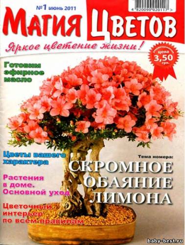 Магия цветов №1 (июнь 2011)