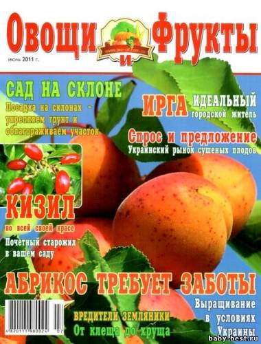 Овощи и фрукты №7 (июль 2011)