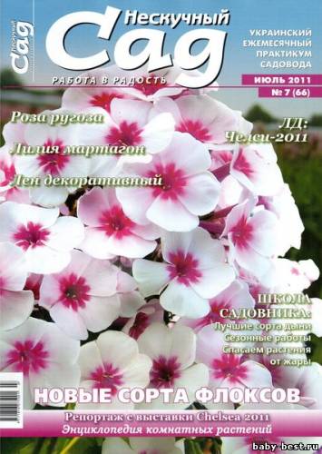 Нескучный сад №7 (июль 2011)