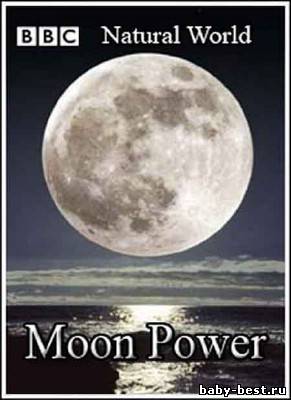 BBC: Мир природы. Могущество Луны / Natural World. Moon Power (2005) SATRip
