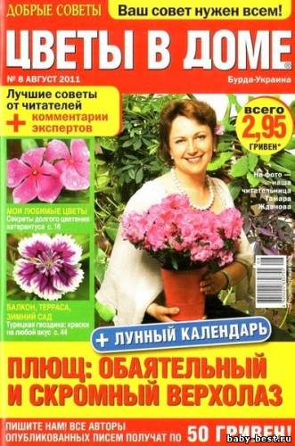 Цветы в доме №8 (август 2011)