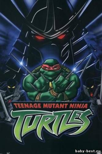 Черепашки ниндзя. Новые приключения / Teenage Mutant Ninja Turtles (1-7 сезоны) (2003-2009) DVDRip