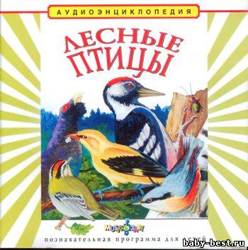 Лесные птицы. Аудиоэнциклопедия для детей. (Чевостик)