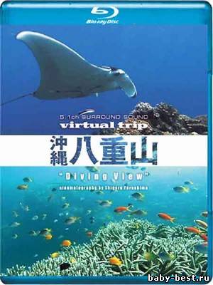 Виртуальное путешествие: Окинава. Острова Язяма - Подводные виды / Okinawa Yaeyama (2005) BDRip