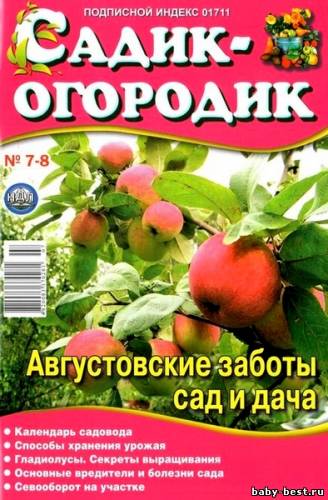 Садик-огородик №7-8 2011
