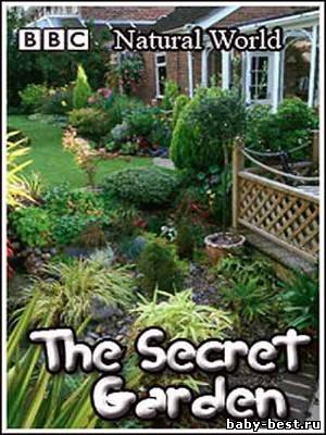 BBC: Мир природы. Таинственный сад / Natural World. The Secret Garden (2001) SATRip