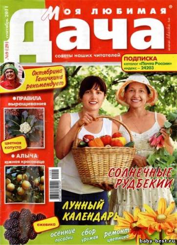 Моя любимая дача №9 (сентябрь 2011)