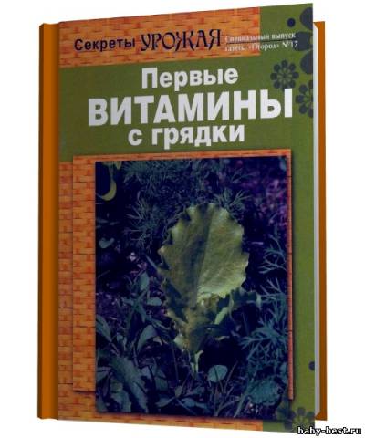 Секреты урожая. Первые витамины с грядки