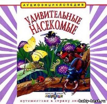 Удивительные насекомые. Аудиоэнциклопедия для детей. (Чевостик)