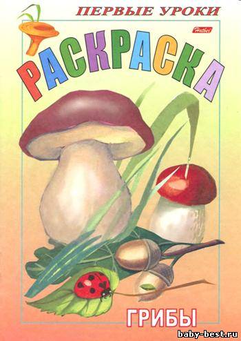 Грибы. Раскраска