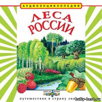 Леса России. Аудиоэнциклопедия для детей. (Чевостик)