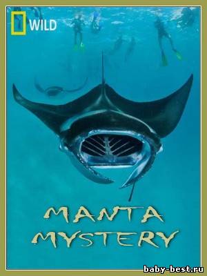 Тайна Морского Дьявола / Manta Mystery (2011) SATRip