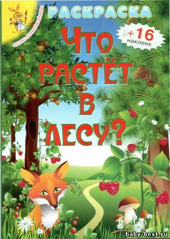 Что растет в лесу? Раскраска