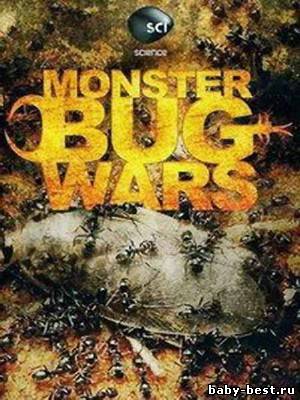 Animal Planet: Войны жуков-гигантов / Monster bug wars (2011) SATRip