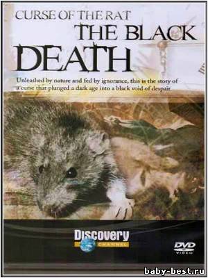 Крысиное проклятие. Черная смерть / Curse of the Rat. The black death (2009) SATRip