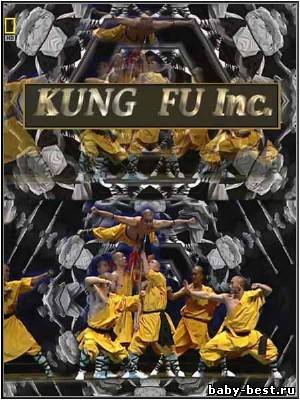 Китай. Корпорация Кунг-фу / Kung Fu Inc. (2009) HDRip