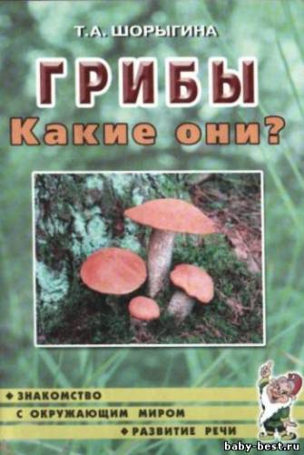 Грибы. Какие они? Знакомство с окружающим миром. Развитие речи