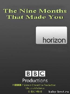 BBC: Горизонт. Девять судьбоносных месяцев / Horizon: The Nine Months That Made You (2011) PDTVRip
