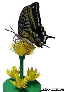 Бумажные модели. Насекомые