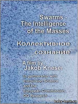 Ступени цивилизации. Коллективное сознание / The intelligence of the Masses (2010) DVB
