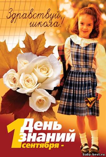 Ах, школа, школа, где же ты... (2011)