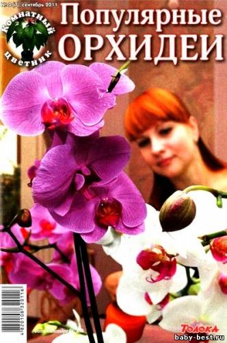 Комнатный цветник №2 (сентябрь 2011). Популярные орхидеи