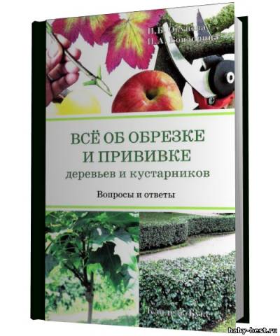 Все об обрезке и прививке деревьев и кустарников. Вопросы и ответы
