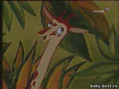 Мультфильм «ЖИРАФА И ОЧКИ»(1978 г.)