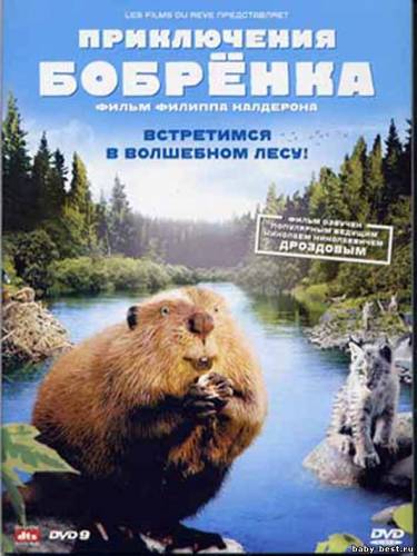 Приключения Бобренка