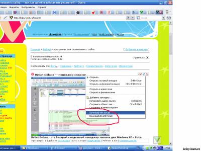 Плагин для работы с браузером Opera.