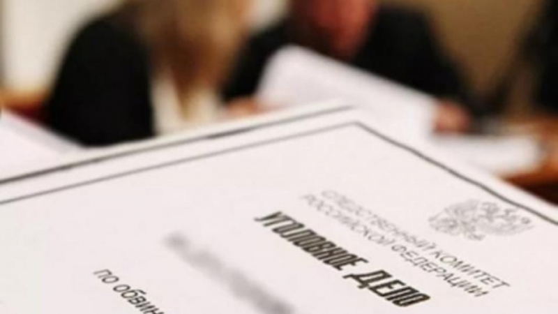 Дело возбудили после избиения ученика сотрудницей лицея в Петербурге