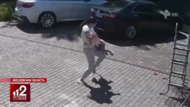 Дело возбудили после нападения обезьяны на девочку в Подмосковье