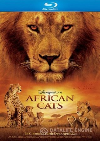 Африканские кошки: Королевство смелости / African Cats (2011) HDRip 1.45 Gb / 700 Mb Африканские кошки: Королевство смелости / African Cats (2011) HDRip 1.45 Gb / 700 Mb