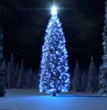 В ожидании новогодней ночи