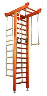 Домашний спортивный комплекс Домашний спортивный комплекс