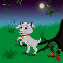 КОЗОЧКА-КОЗА