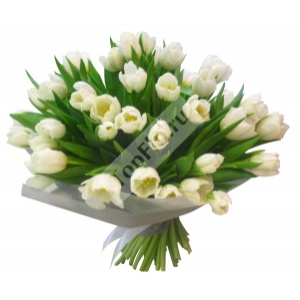 Заказ цветов по Москве Заказ цветов по Москве